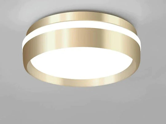 Modern Minimalist Gateway Round Gold LED Small Ceiling Lamp