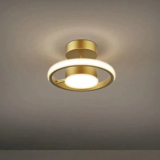 Led Ceiling Lamp with Copper Corridor Lamp