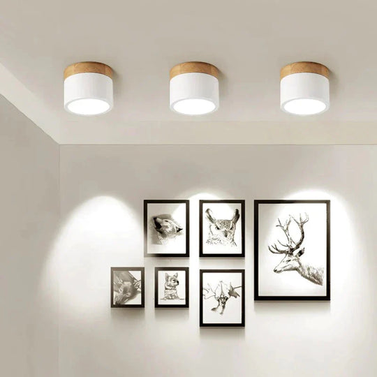 Nordic Ceiling Lights Modern Porch Aisle Corridor LED Ceiling Lighting Fixtures