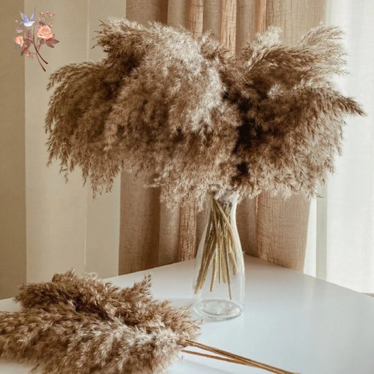 Malani 10Pcs Fluffy Dried Flower Bouquet