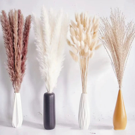 Bianca Natural Dried Reeds Decor Dried Pampas Grass Bouquet