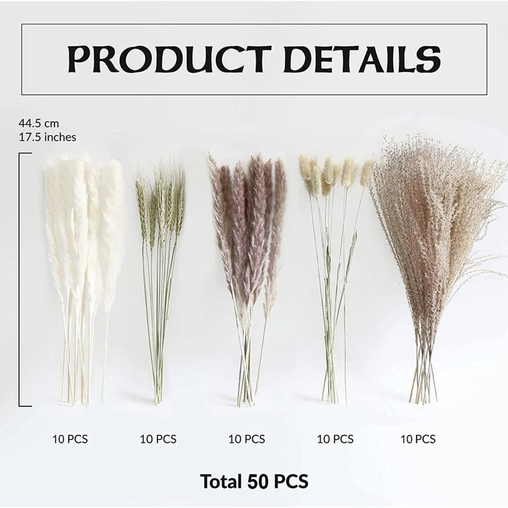 Saige New Natural Reed Dried Flowers Pampas Grass Home Party Wedding Decoration Supplies