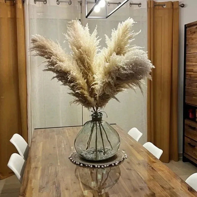 Kira Natural Dried Floral Arrangement Phragmites Dried Flowers Tall Pampas Grass Boho Decor Bouquet