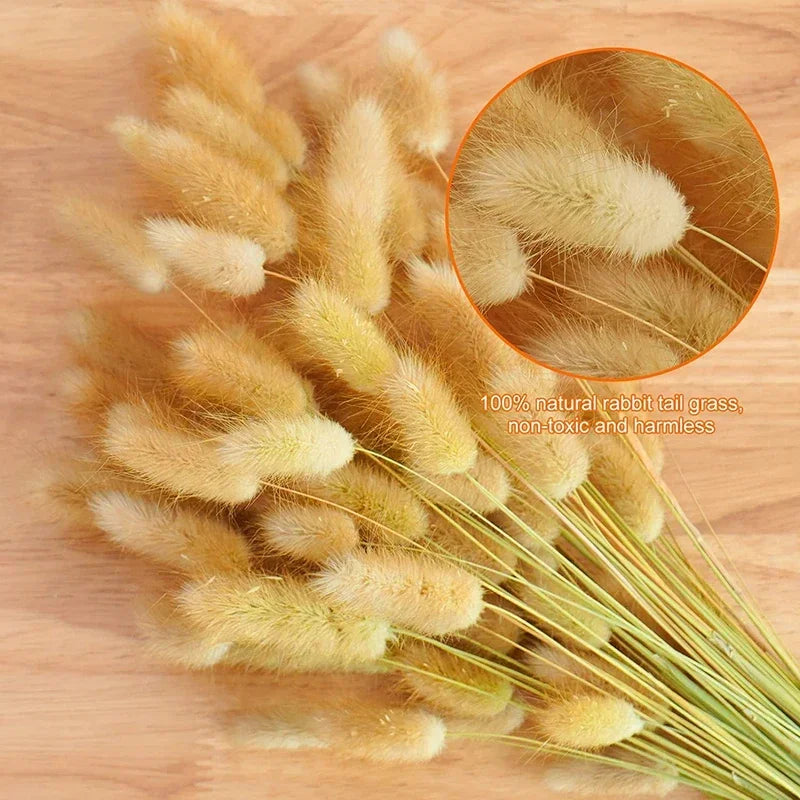 Brynn 60Pcs Dried Flowers Rabbit Tails Grass Bouquet