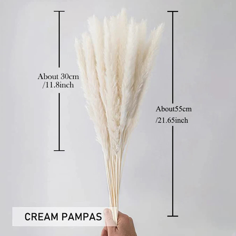 Amiyah Serena's Pampas Grass Decoration Fluffy Wedding Arrangement Decoration Natural Phragmites Dried Flowers Bouquet Boho Home Decor