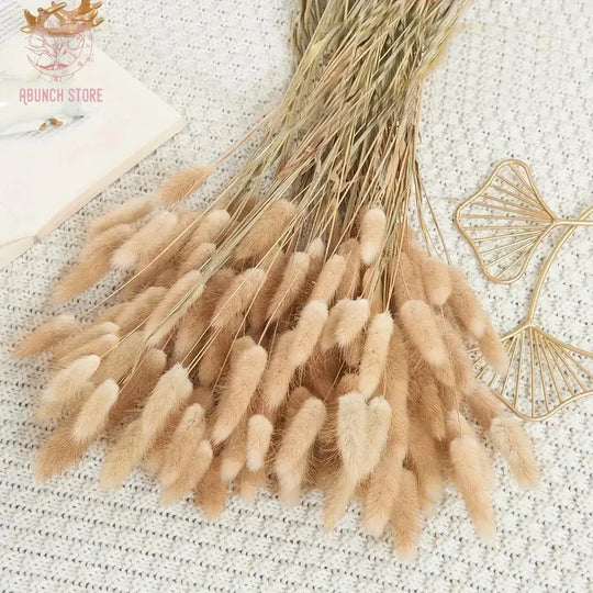 Sylvia Artificial Dried Bunny Tails Flowers Bundle