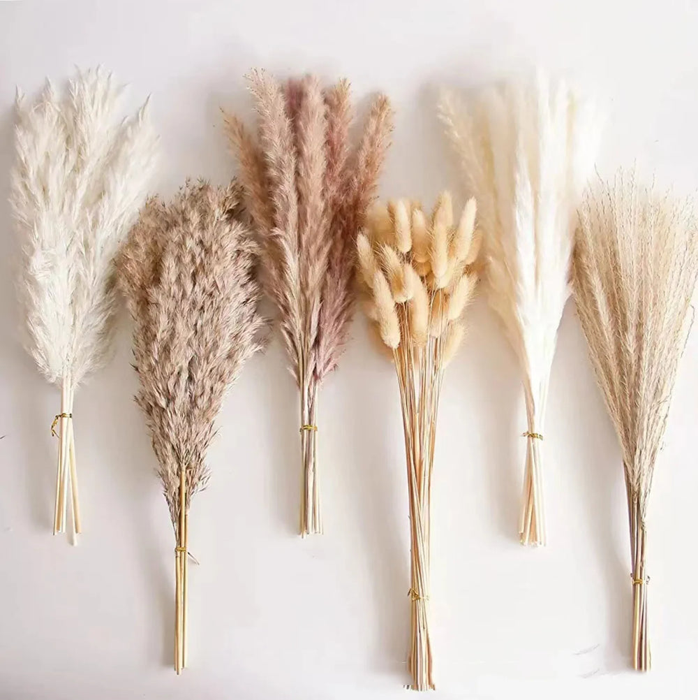 Bianca Natural Dried Reeds Decor Dried Pampas Grass Bouquet