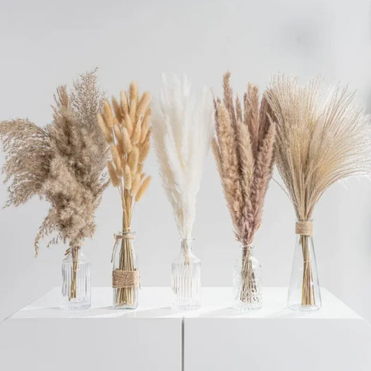 Bianca Natural Dried Reeds Decor Dried Pampas Grass Bouquet