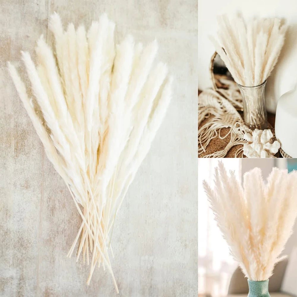 Amiyah Serena's Pampas Grass Decoration Fluffy Wedding Arrangement Decoration Natural Phragmites Dried Flowers Bouquet Boho Home Decor