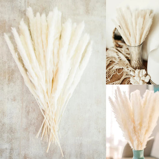 Amiyah Serena's Pampas Grass Decoration Fluffy Wedding Arrangement Decoration Natural Phragmites Dried Flowers Bouquet Boho Home Decor