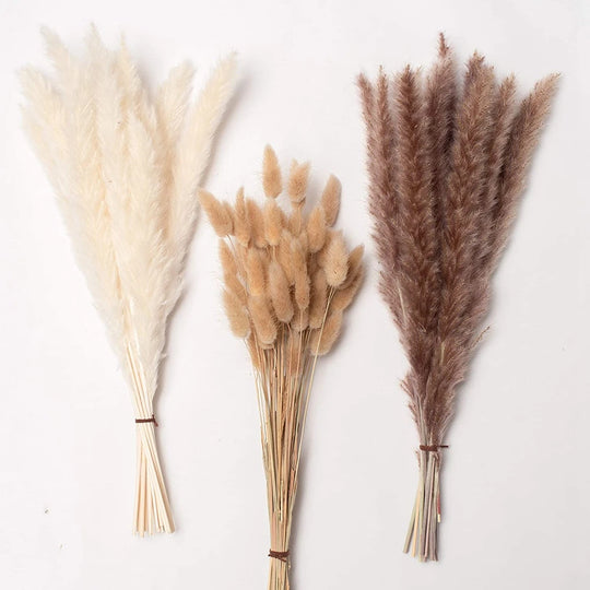 Amiyah Serena's Pampas Grass Decoration Fluffy Wedding Arrangement Decoration Natural Phragmites Dried Flowers Bouquet Boho Home Decor