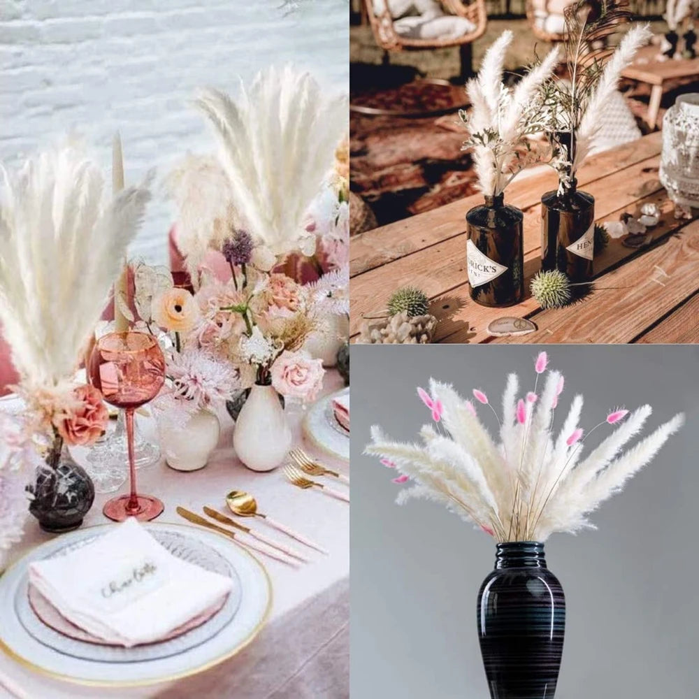 Amiyah Serena's Pampas Grass Decoration Fluffy Wedding Arrangement Decoration Natural Phragmites Dried Flowers Bouquet Boho Home Decor