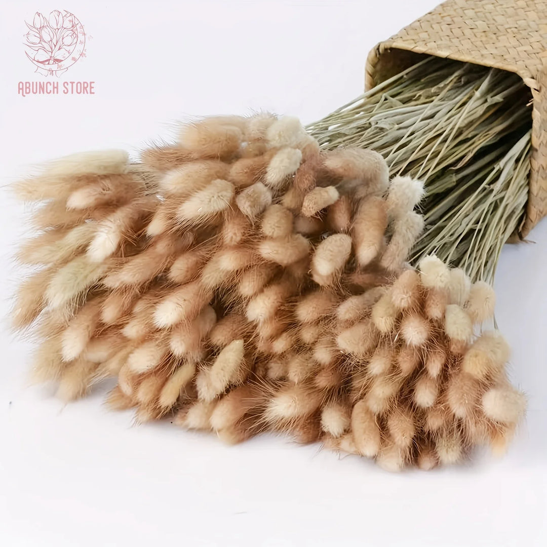 Sylvia Artificial Dried Bunny Tails Flowers Bundle