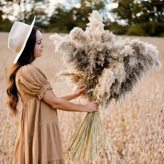 Kira Natural Dried Floral Arrangement Phragmites Dried Flowers Tall Pampas Grass Boho Decor Bouquet