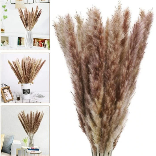 Amiyah Serena's Pampas Grass Decoration Fluffy Wedding Arrangement Decoration Natural Phragmites Dried Flowers Bouquet Boho Home Decor