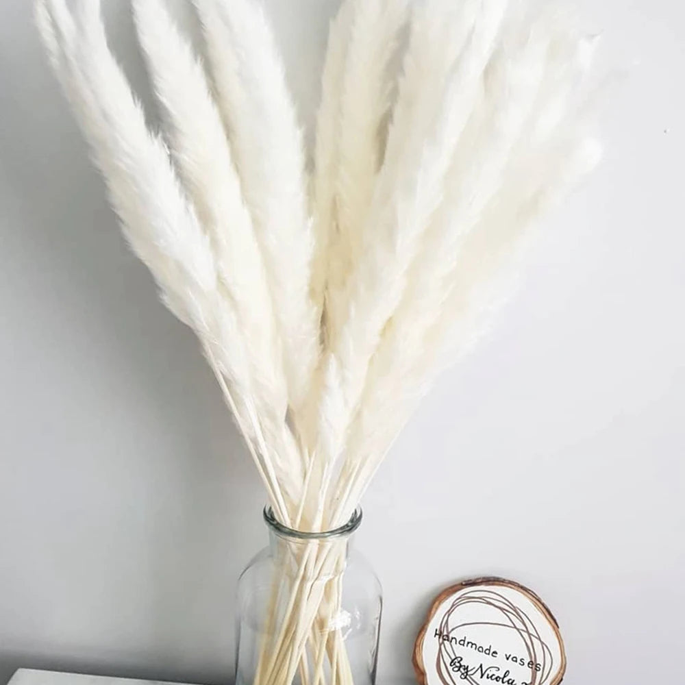 Amiyah Serena's Pampas Grass Decoration Fluffy Wedding Arrangement Decoration Natural Phragmites Dried Flowers Bouquet Boho Home Decor