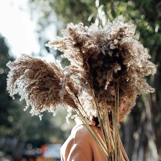 Kira Natural Dried Floral Arrangement Phragmites Dried Flowers Tall Pampas Grass Boho Decor Bouquet