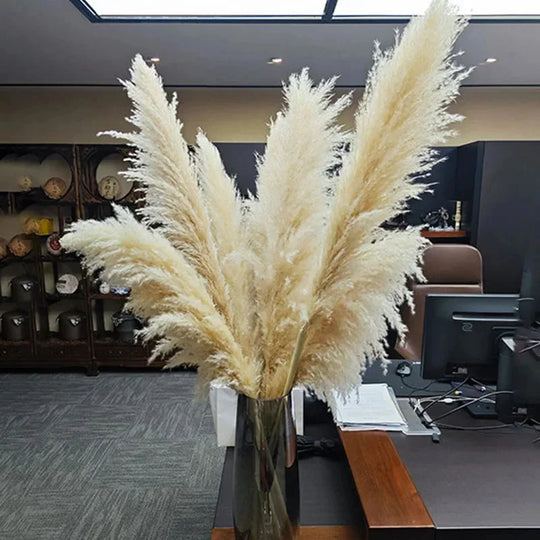 Kira Natural Dried Floral Arrangement Phragmites Dried Flowers Tall Pampas Grass Boho Decor Bouquet