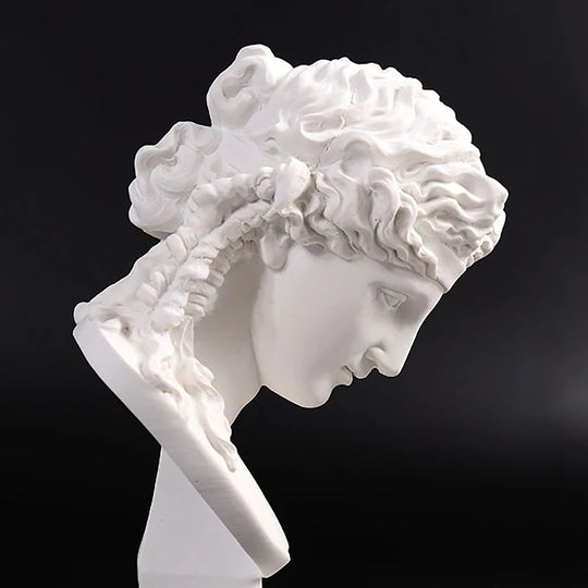 Ava's Decorative Statue For Living Room - Beethoven Apollo