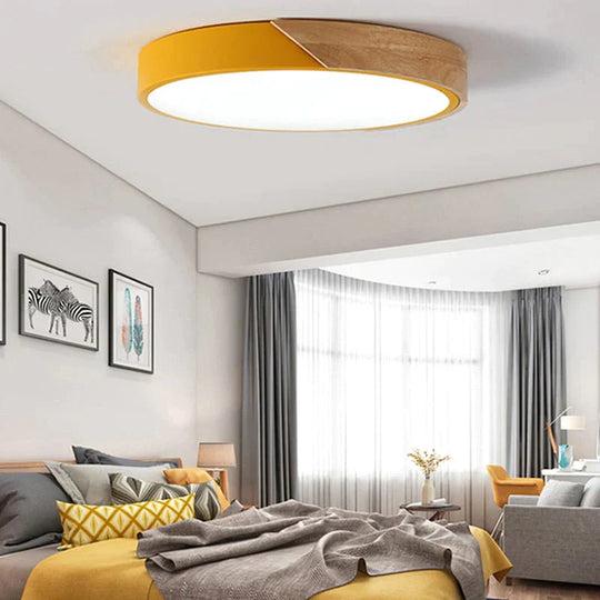 Erica -Modern LED Ceiling Light Lamp Living Room Lighting Fixture Bedroom Kitchen Surface Mount Ceiling Lights