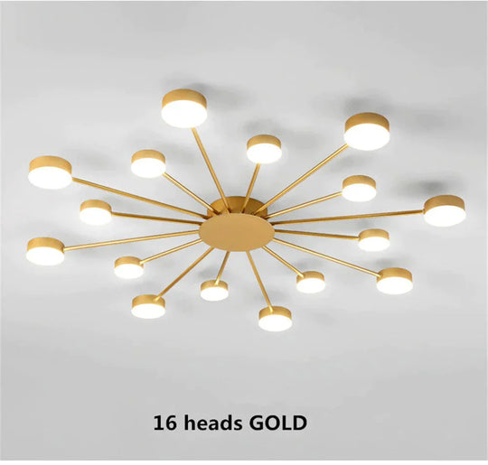 Europe Ceiling Lamp Contracted Modern 16 heads LED Gold Indoor Light Restaurant Living Room Bedroom Decoration Lighting Fixture