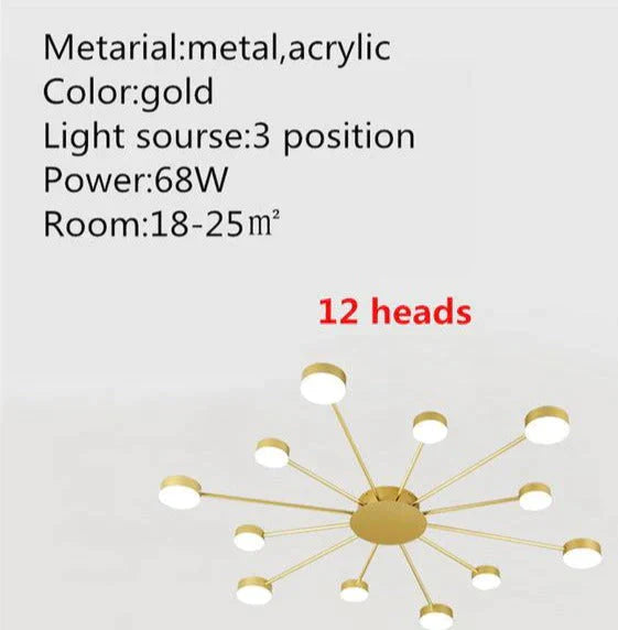 Europe Ceiling Lamp Contracted Modern 16 heads LED Gold Indoor Light Restaurant Living Room Bedroom Decoration Lighting Fixture