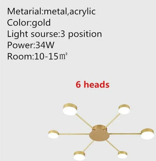 Europe Ceiling Lamp Contracted Modern 16 heads LED Gold Indoor Light Restaurant Living Room Bedroom Decoration Lighting Fixture