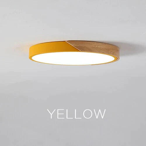 Jaiden -Modern LED Ceiling Light Surface Mount Flush Lamp Indoor Lighting Fixture Living Room Bedroom Kitchen Remote Control Dimmable