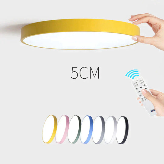 Kaley - Super Slim Led Surface Mount Light With Remote Control Ceiling