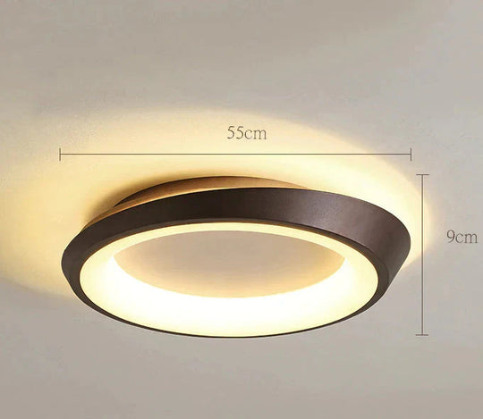 Light In The Bedroom Simple Modern Led Ceiling Lamp Room Lighting Creative Master Bedroom Living Room Lamps