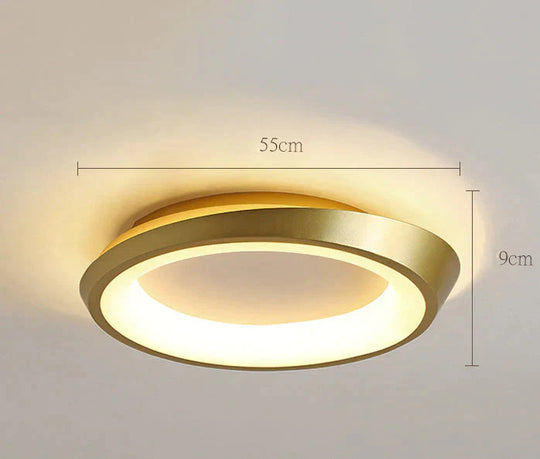 Light In The Bedroom Simple Modern Led Ceiling Lamp Room Lighting Creative Master Bedroom Living Room Lamps