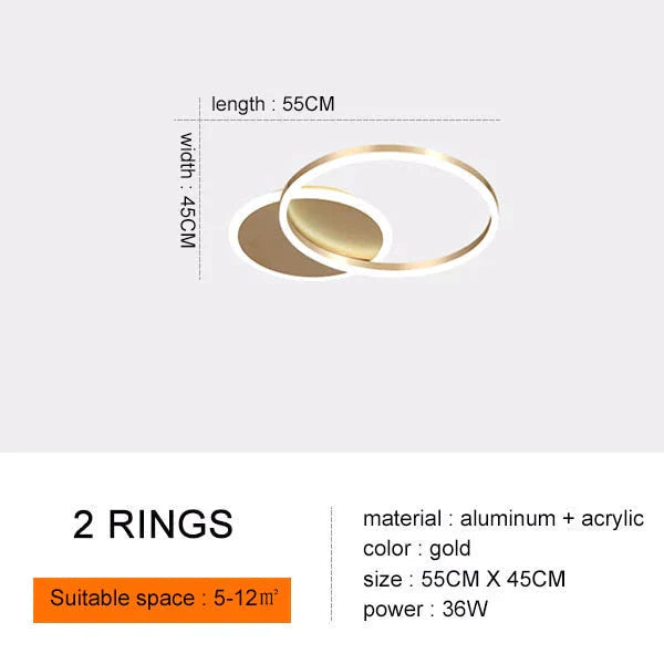 Modern Ceiling Lights For Living Room Circle Gold Brown LED Plafon Decor Bedroom Lamps Fixture With Remote Control Lustre