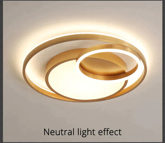 Modern Golden Round Led Ceiling Lamps Living Room Bedroom Dimmable Remote Control Acrylic Light