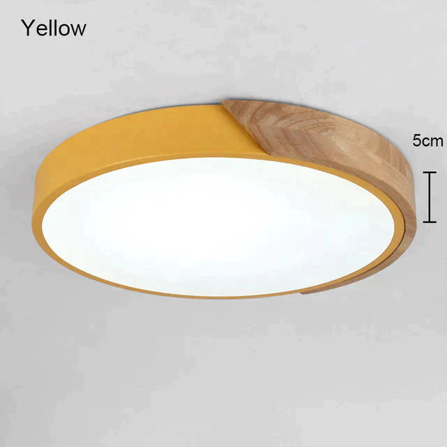 5Cm Ultra Thin Led Ceiling Lights For Living Room Dimmable Modern Lamp Nordic Bedroom Kids