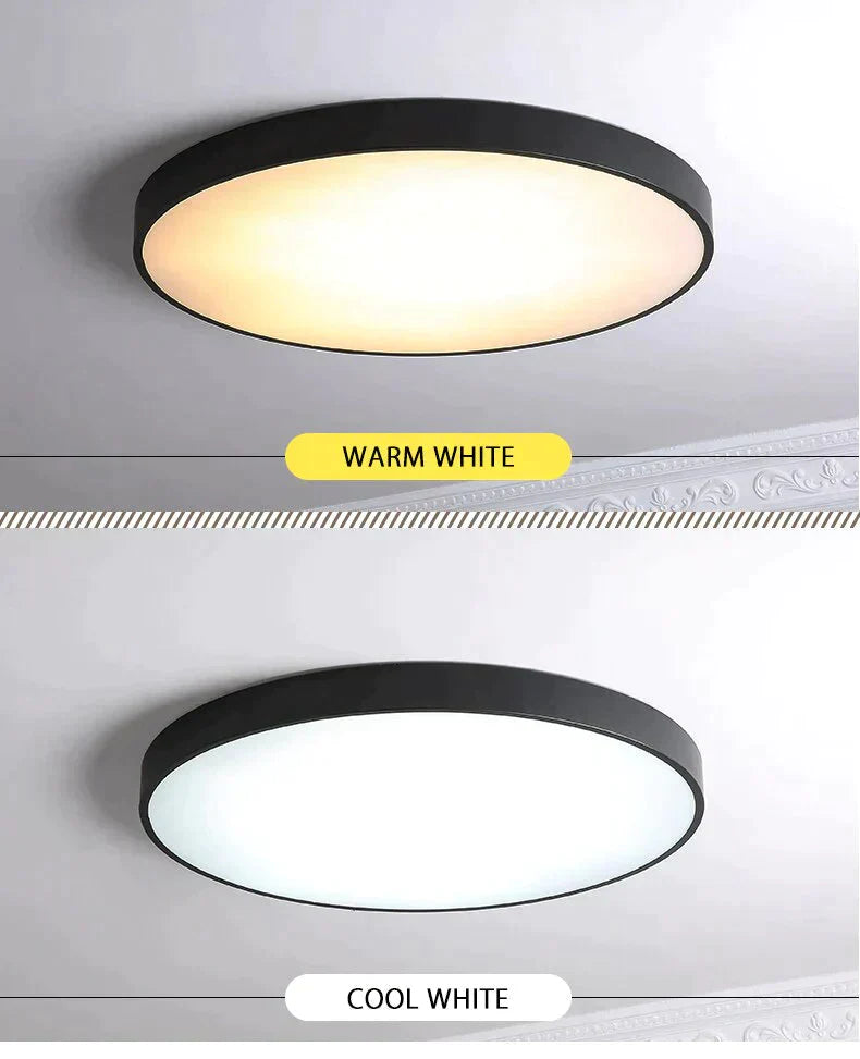 Metal Modern Led Ceiling Light Black&White Simple Chandelier Lamp For Living Room Bedroom Dining