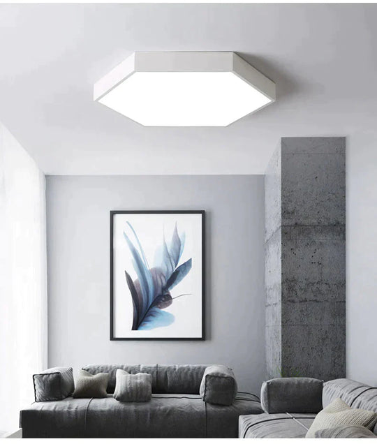 Luminaires Modern Led Ceiling Light For Living Room Bedroom Black&White Simple Mounted Home Lamps